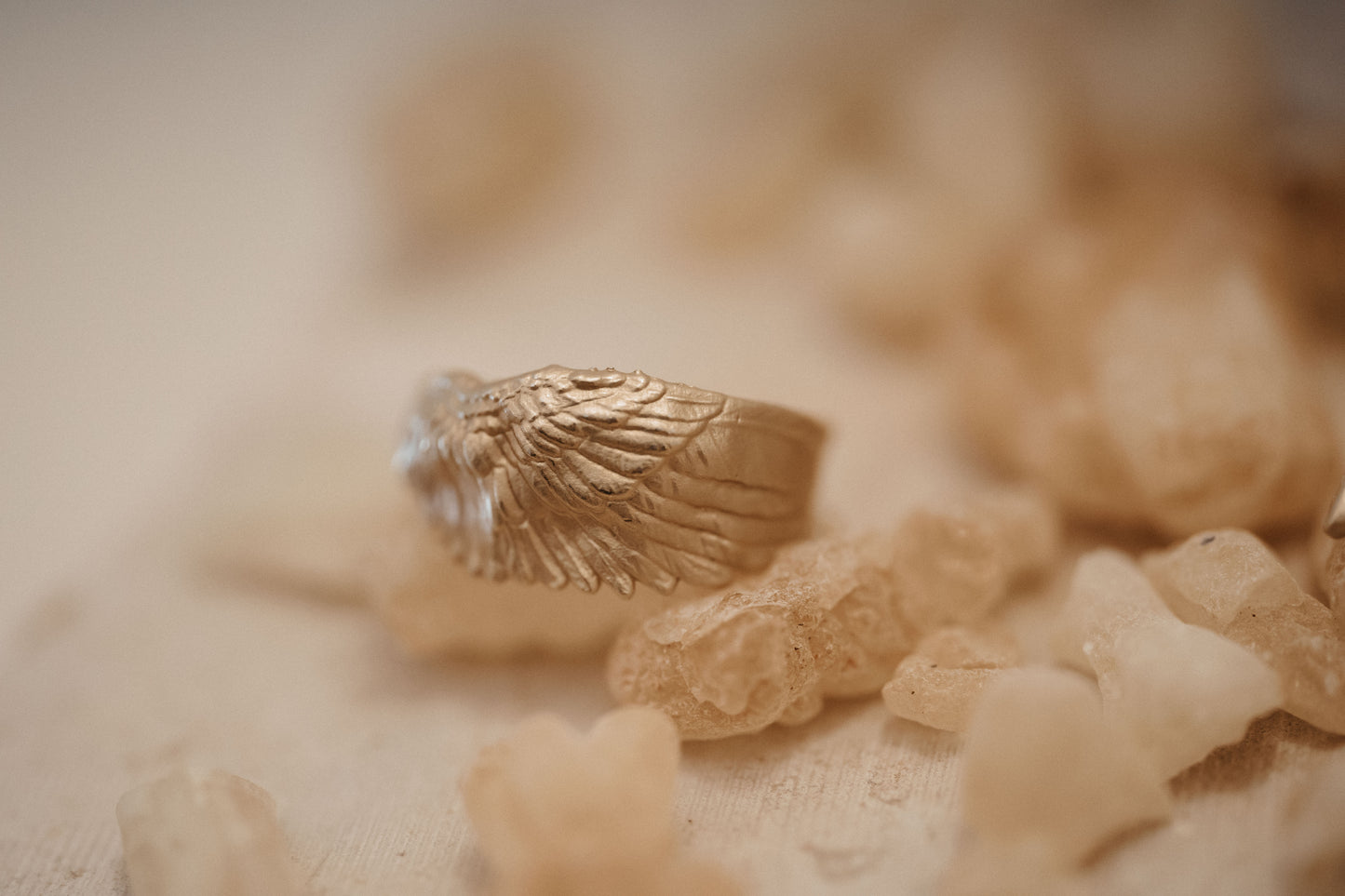 Anillo Protegido
