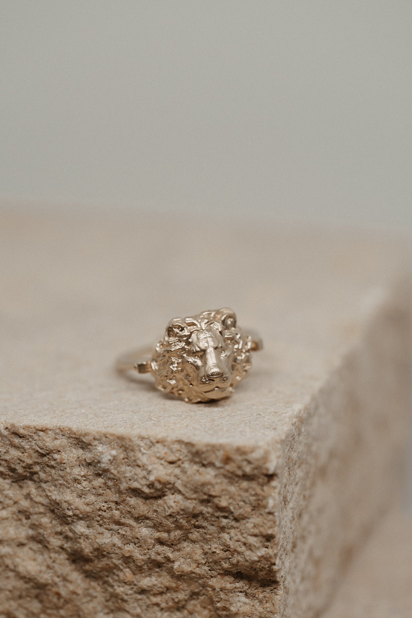 Anillo Strength