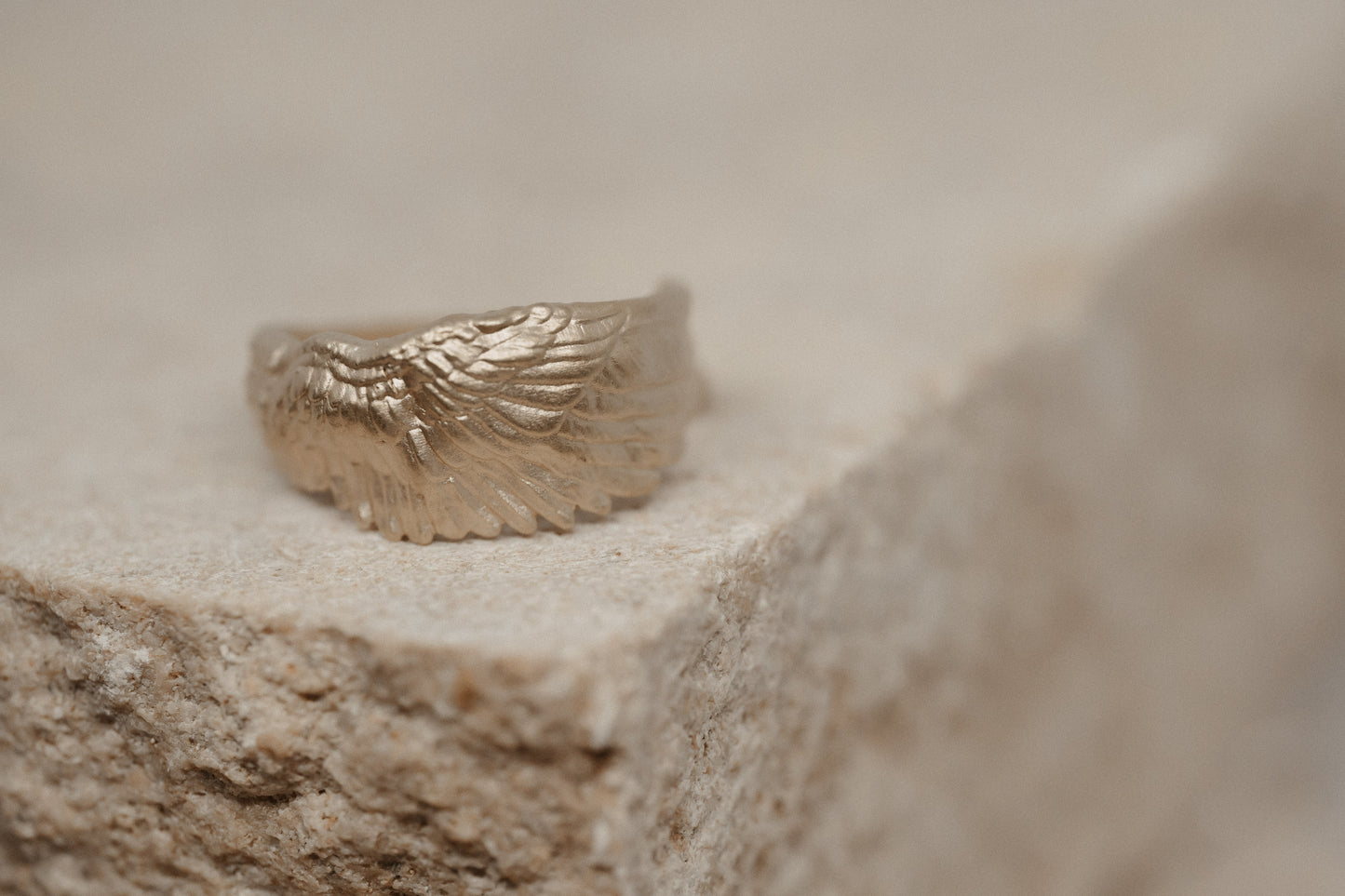 Anillo Protegido