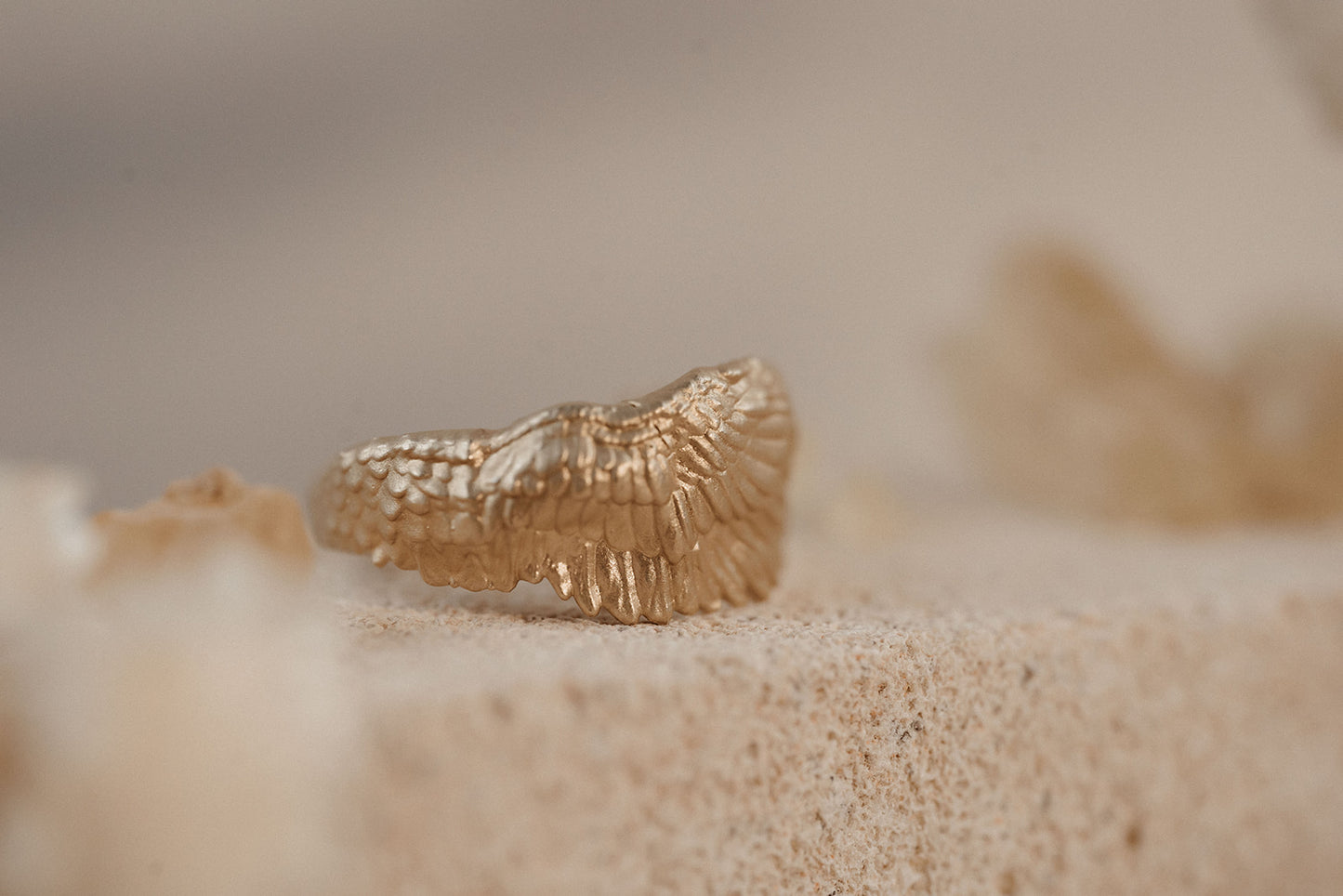 Anillo Protegido