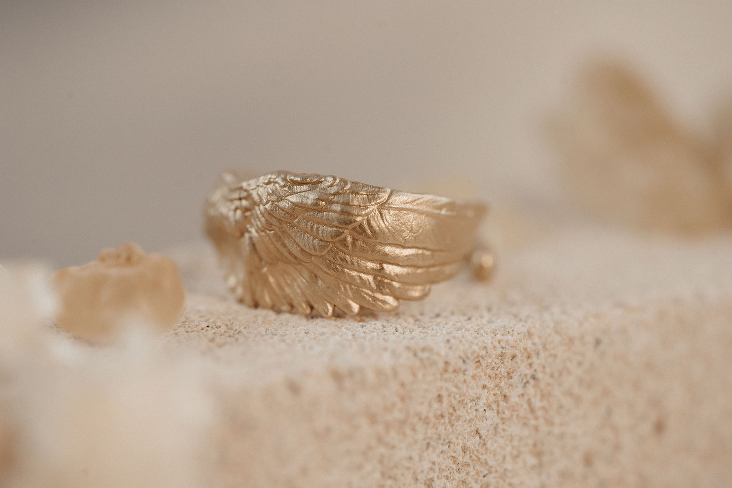 Anillo Protegido