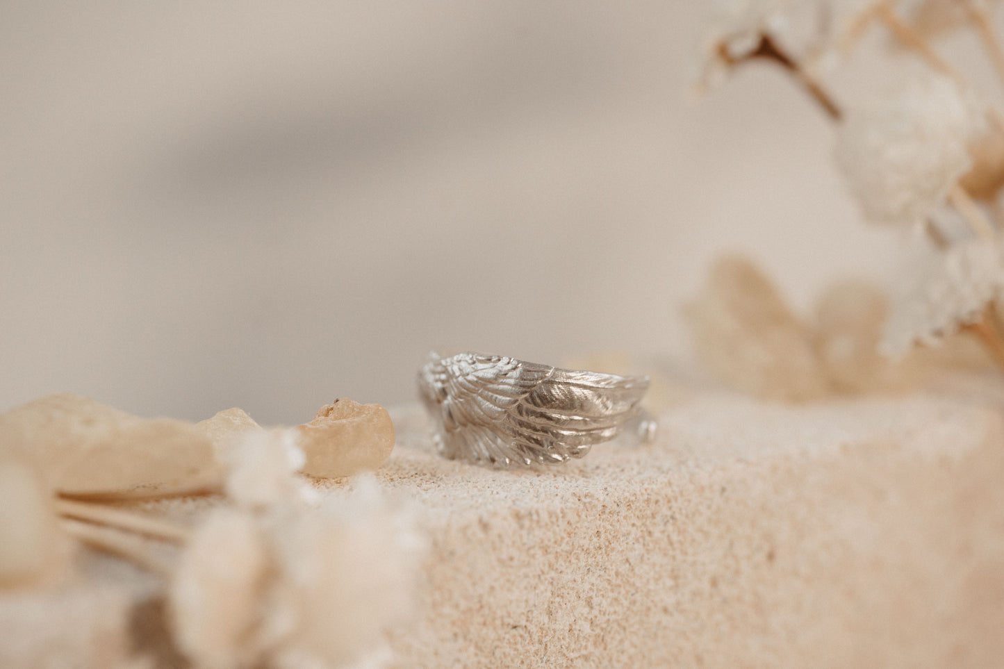 Anillo Protegido