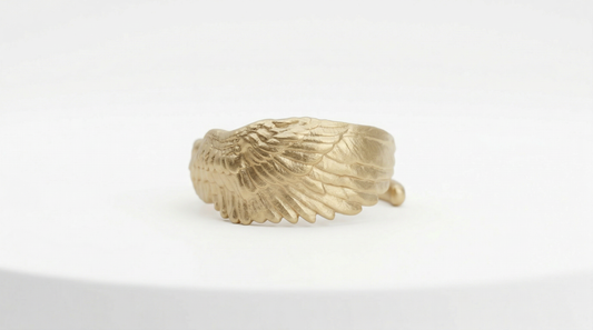 Anillo Protegido