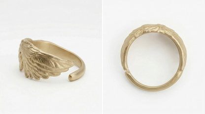 Anillo Protegido